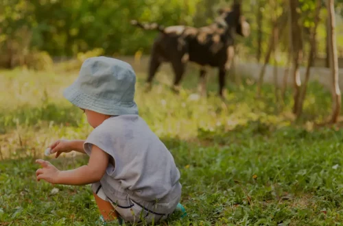 Nombres inspirados en la naturaleza para bebes